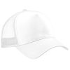 White/White