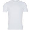 Arctic White*