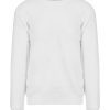 Arctic White*