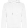 Arctic White*