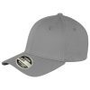 Cool Grey