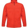 Classic Red/Seal Grey