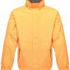 Sun Orange/Seal Grey